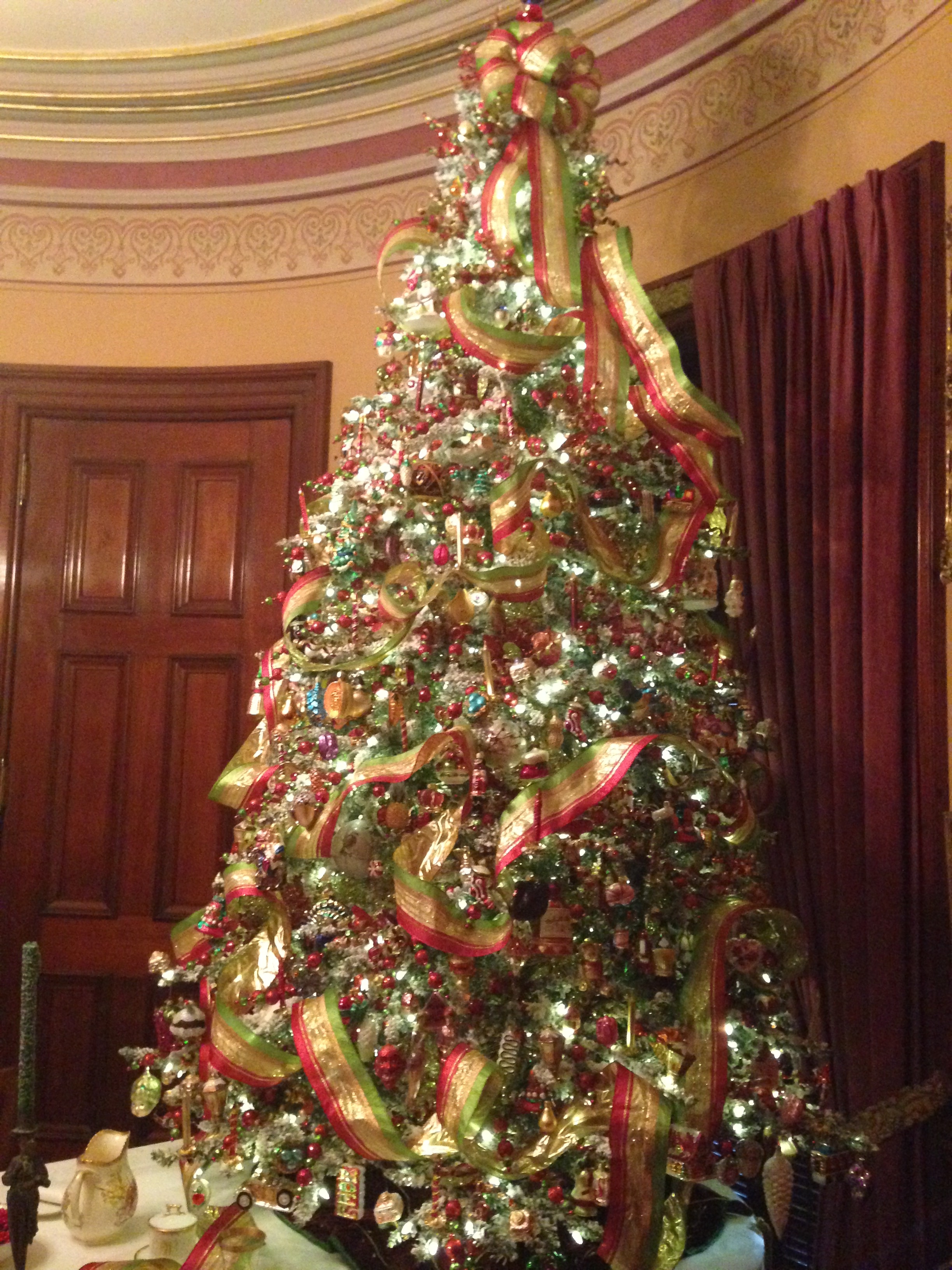 Beautiful tree in the dining room
